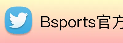 Bsports官方网站登录入口 Logo